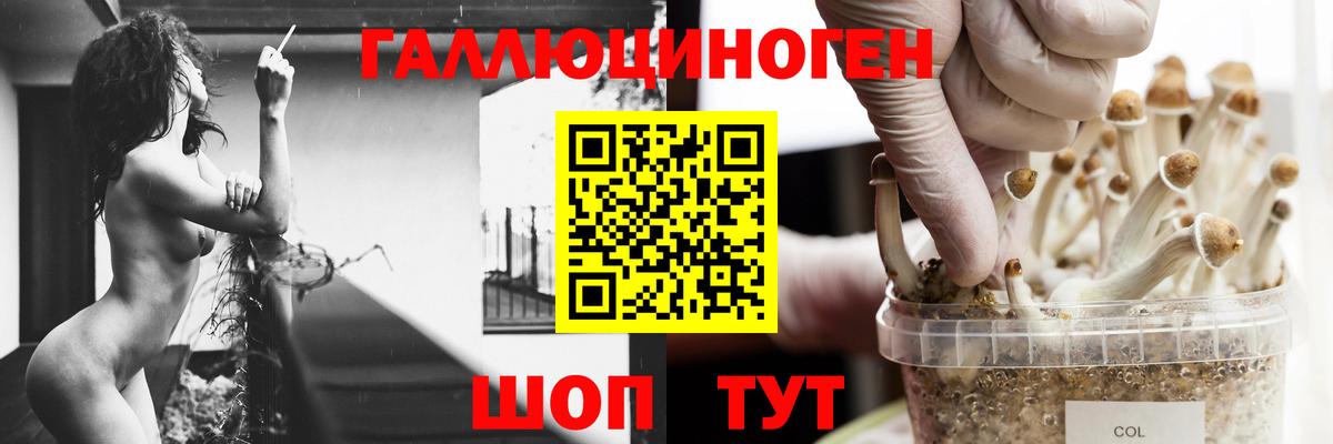 Псилоцибиновые грибы Psilocybine cubensis Грозный